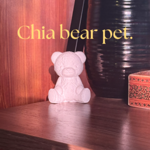The chia bear pet.